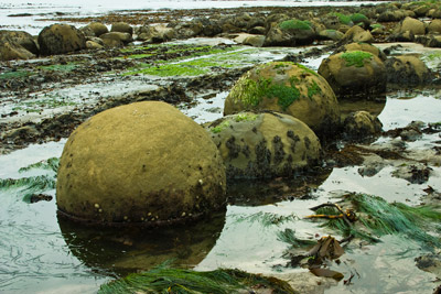 Bowling Ball Beach